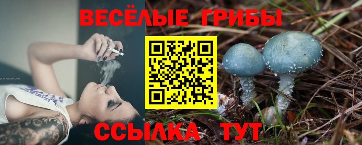 Чехов  Псилоцибиновые грибы Magic Shrooms  где найти наркотики  Вход с VPN 