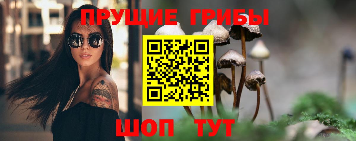 Псилоцибиновые грибы прущие грибы Чехов